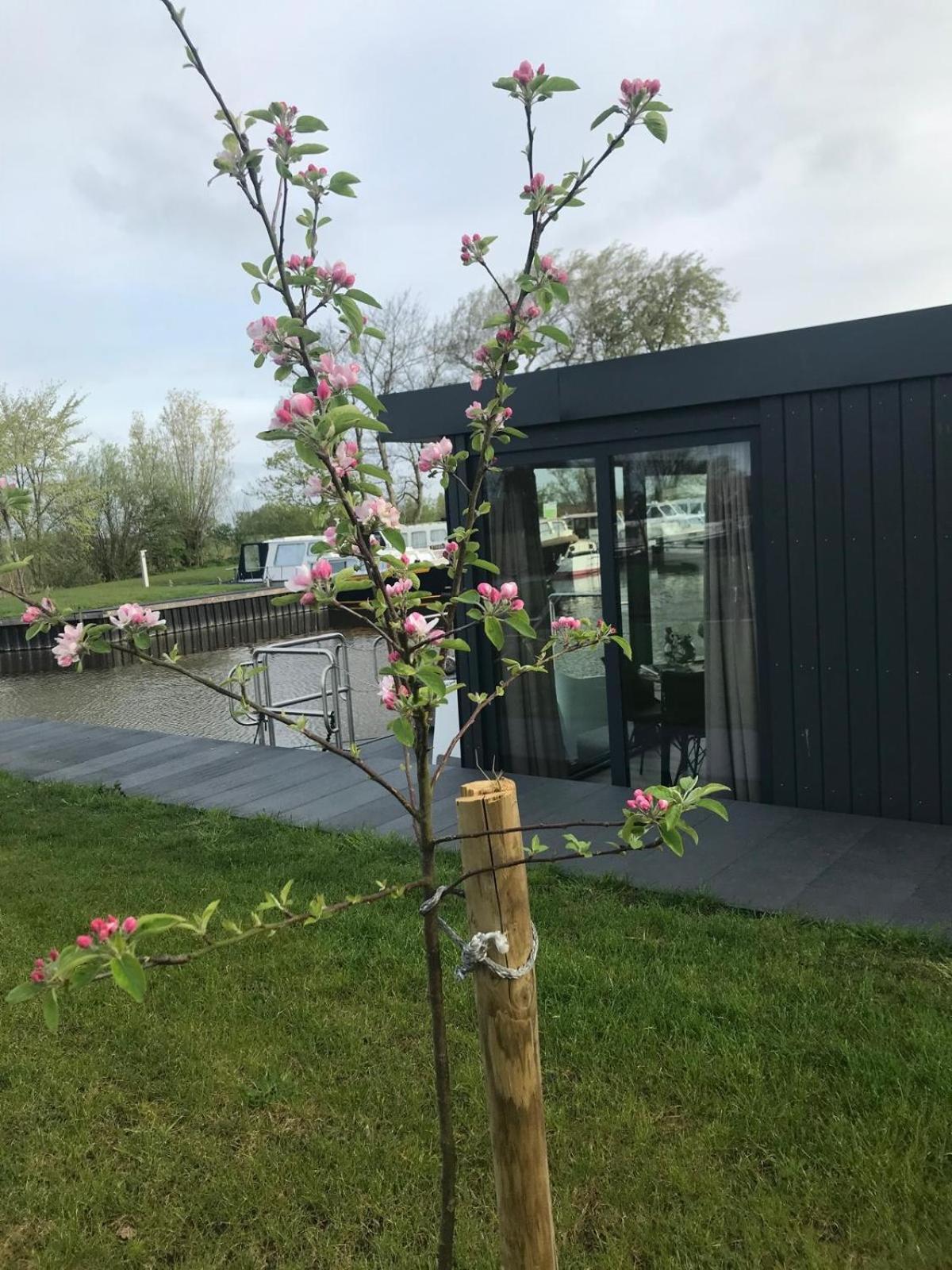 Uniek Overnachten In Een Tiny House Op De Appelhof Wommels Luaran gambar